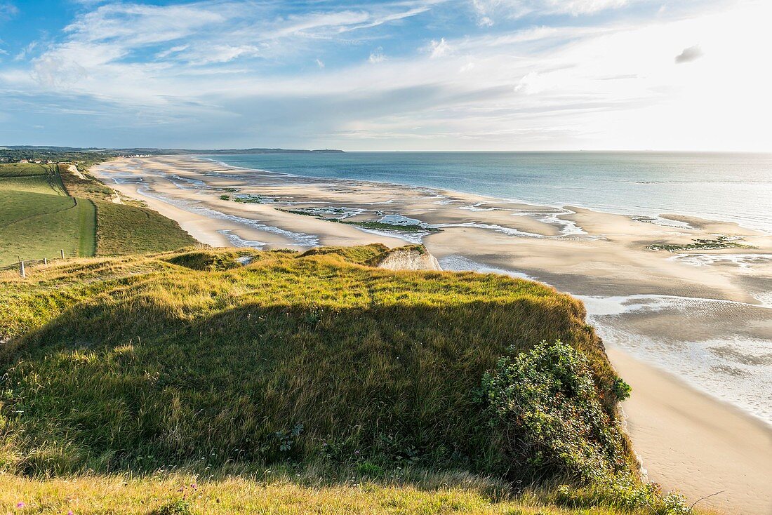 Frankreich, Pas-de-Calais, Opale Coast, Escalles, Cap Blanc Nez sind Teil des Grand Site des Deux Caps und des regionalen Naturparks Opale Cape and Marshes