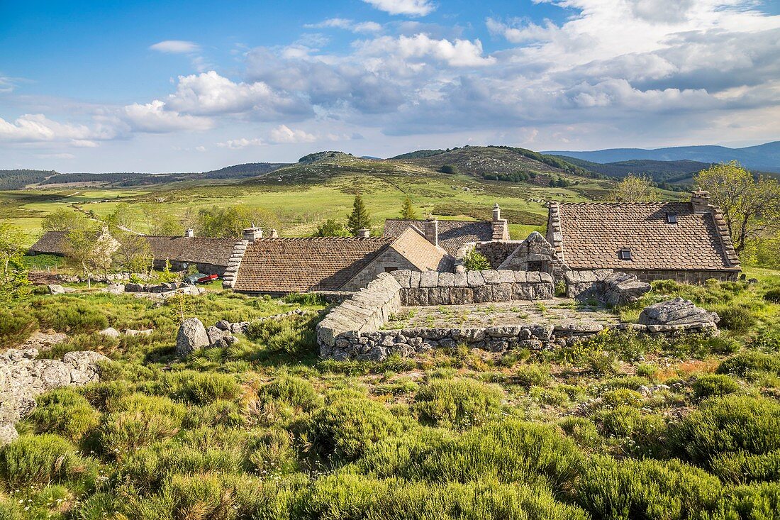 France, Lozere, Les Causses et les Cevennes, cultural landscape of the Mediterranean agro pastoralism, listed as World Heritage by UNESCO, National park of the Cevennes, listed as Reserve Biosphere by UNESCO, hamlet of the Hospital, the house in carved stone