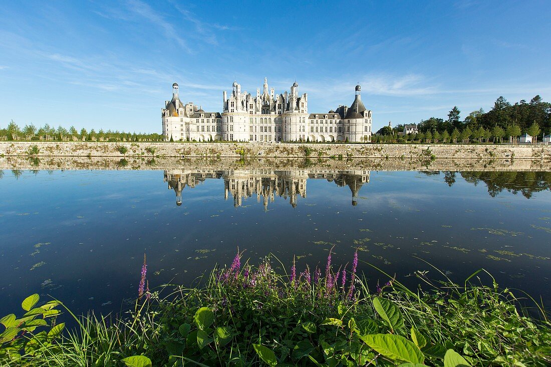 Frankreich, Loir et Cher, Loiretal, von der UNESCO zum Weltkulturerbe erklärt, Chambord, das königliche Schloss