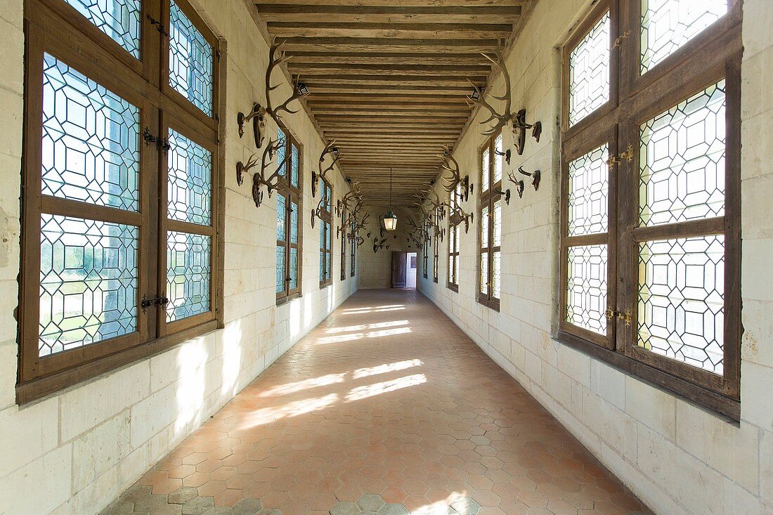 Frankreich, Loir et Cher, Loiretal, von der UNESCO zum Weltkulturerbe erklärt, Chambord, das königliche Schloss, Marion Schuster-Trophäengalerie