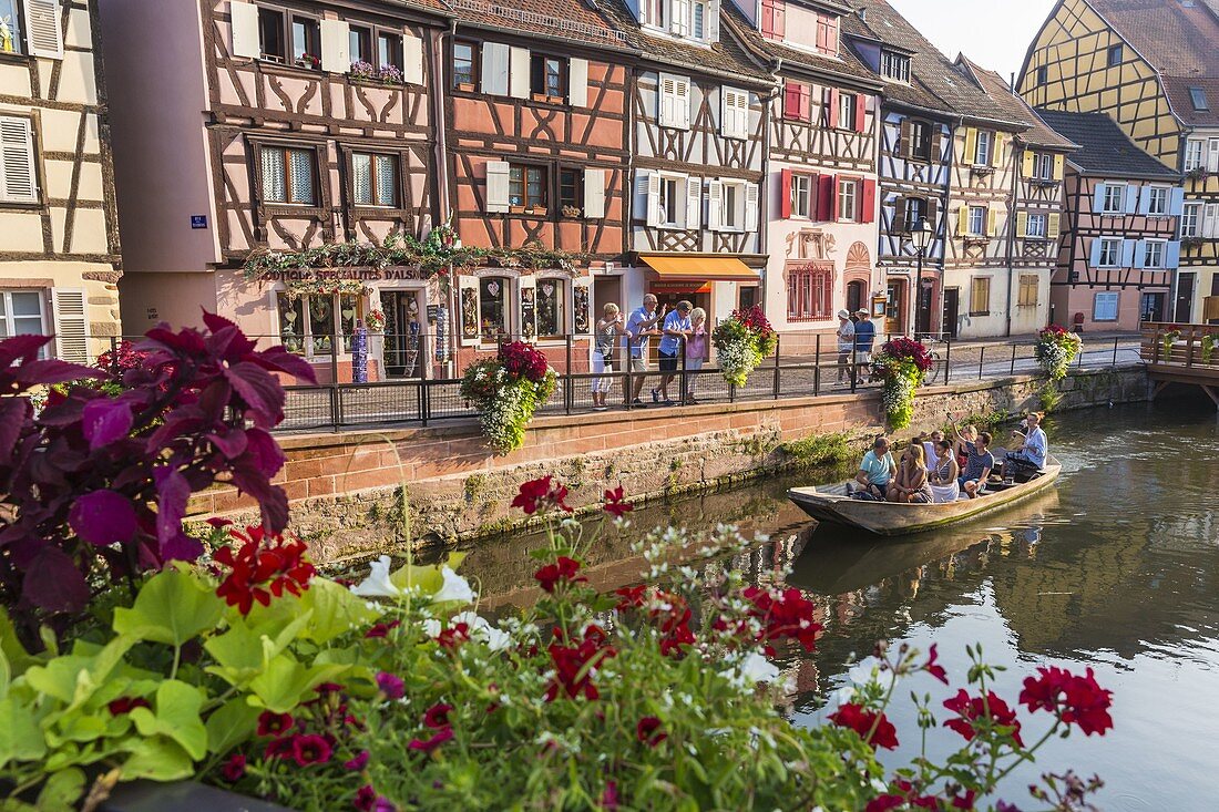 France, Haut Rhin, Alsace Wine Route, Colmar, Krutenau district in La Petite Venise district, quay of the Poissonerie, stroll in boat on Le Lauch