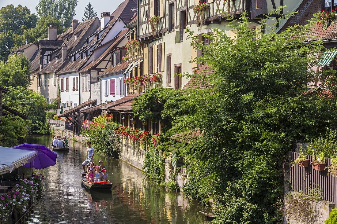 France, Haut Rhin, Alsace Wine Route, Colmar, Krutenau district in La Petite Venise district, street Turenne, stroll in boat on Le Lauch