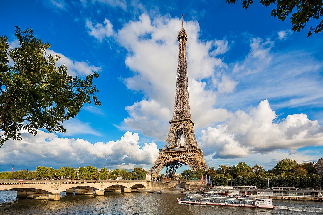 Frankreich, Paris, Gebiet, das von der UNESCO zum Weltkulturerbe erklärt wurde, die Ufer der Seine und der Eiffelturm