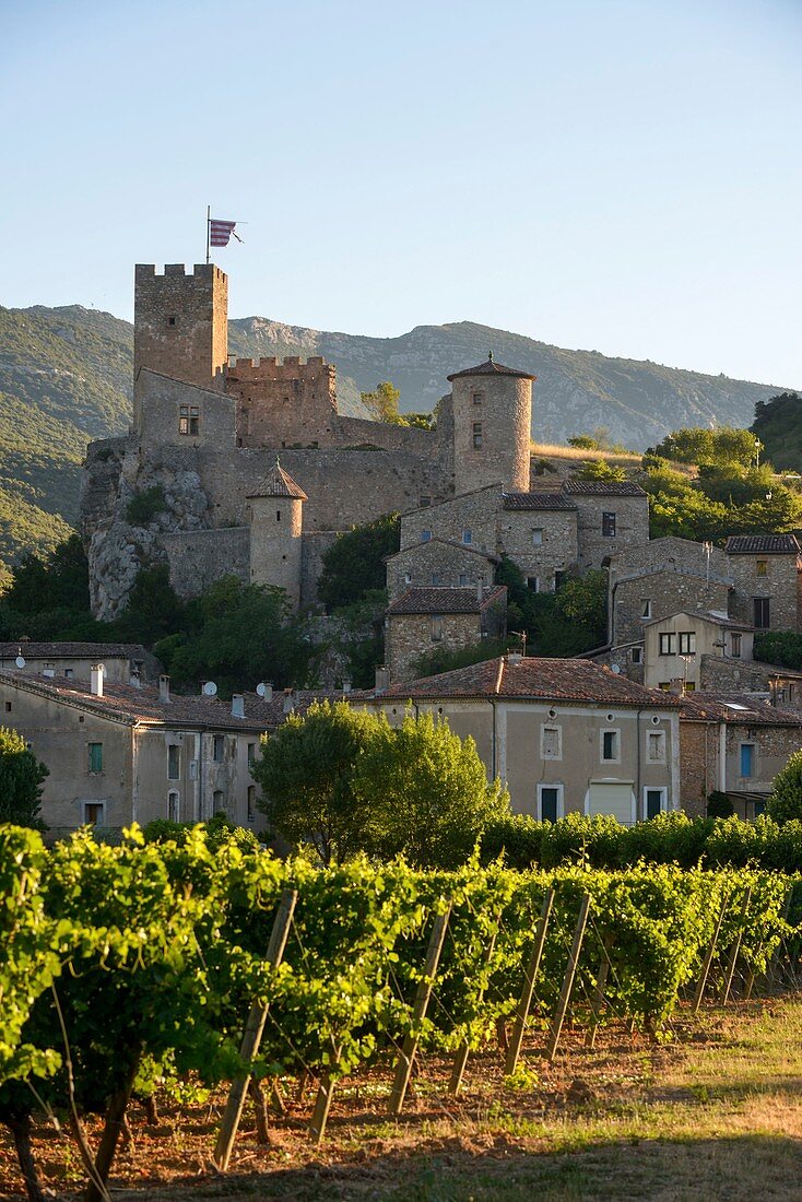 France, Herault, Saint Jean de Bueges, Medieval village in the middle of vineyards at the foot of the mountain of Seranne