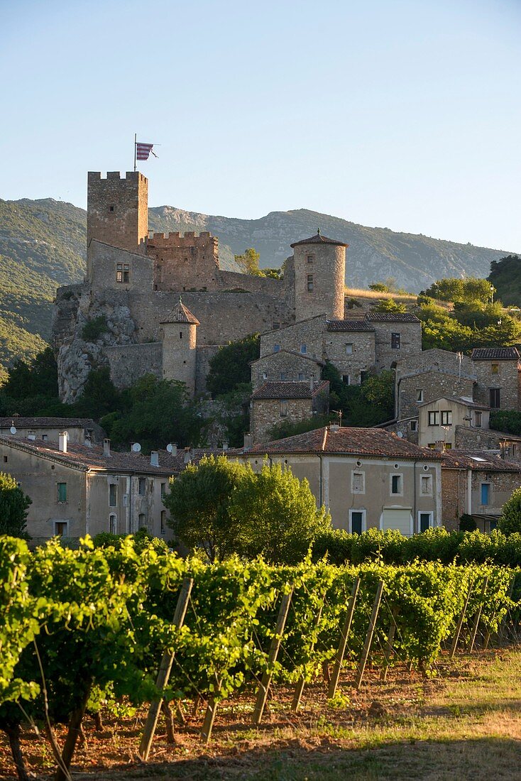 Frankreich, Herault, Saint Jean de Bueges, mittelalterliches Dorf inmitten von Weinbergen am Fuße des Berges Seranne