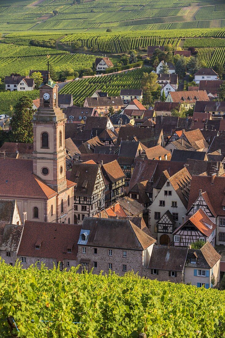 Frankreich, Haut Rhin, Route des Vins d'Alsace, Riquewihr mit der Bezeichnung Les Plus Beaux Villages de France (eines der schönsten Dörfer Frankreichs)