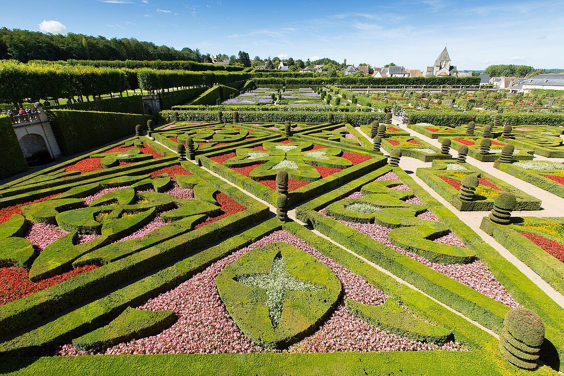 France, Indre et Loire, Loire Valley listed as World Heritage by UNESCO, Villandry, Chateau de Villandry gardens, property of Henri and Angelique Carvallo
