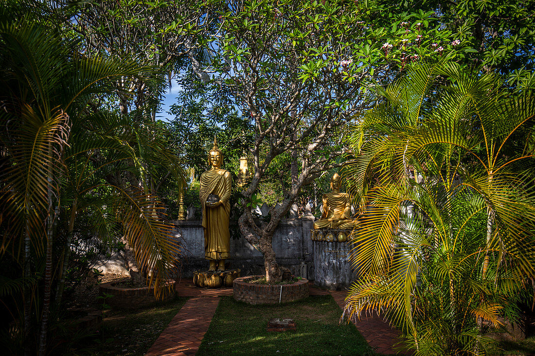 Temple garden in Luang Prabang, Laos, Asia