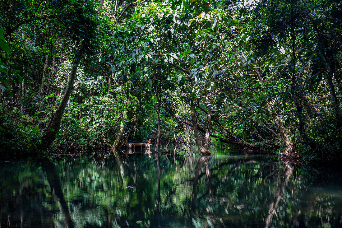 Kuang Si Wasserfälle in Luang Prabang, Laos, Asien