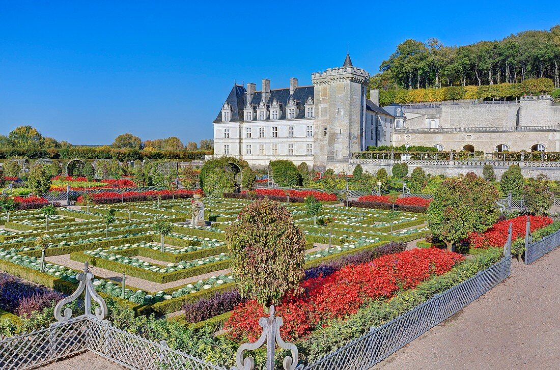 Frankreich, Indre et Loire, Loiretal, das von der UNESCO zum Weltkulturerbe erklärt wurde, das Schloss und die Gärten von Villandry, Eigentum von Angélique und Henri Carvallo