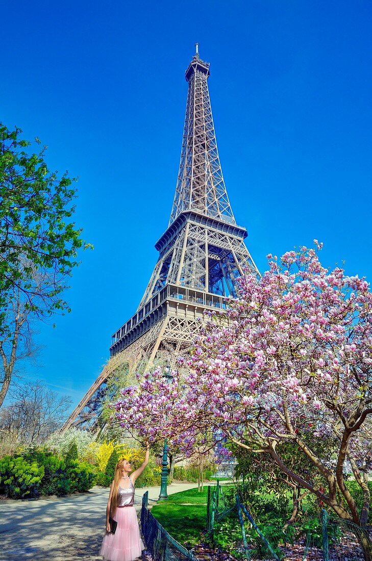 Frankreich, Paris, Gebiet als Weltkulturerbe, Champ de Mars Park mit einem Magnolienbaum in Blüte und dem Eiffelturm