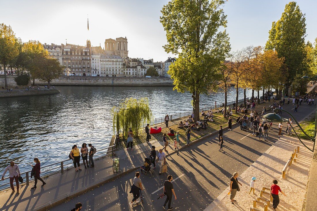 Frankreich, Paris, die Ufer der Seine, die von der UNESCO zum Weltkulturerbe erklärt wurden, die Kathedrale Notre Dame auf der Ile de la Cite seit dem Kai des Rathauses