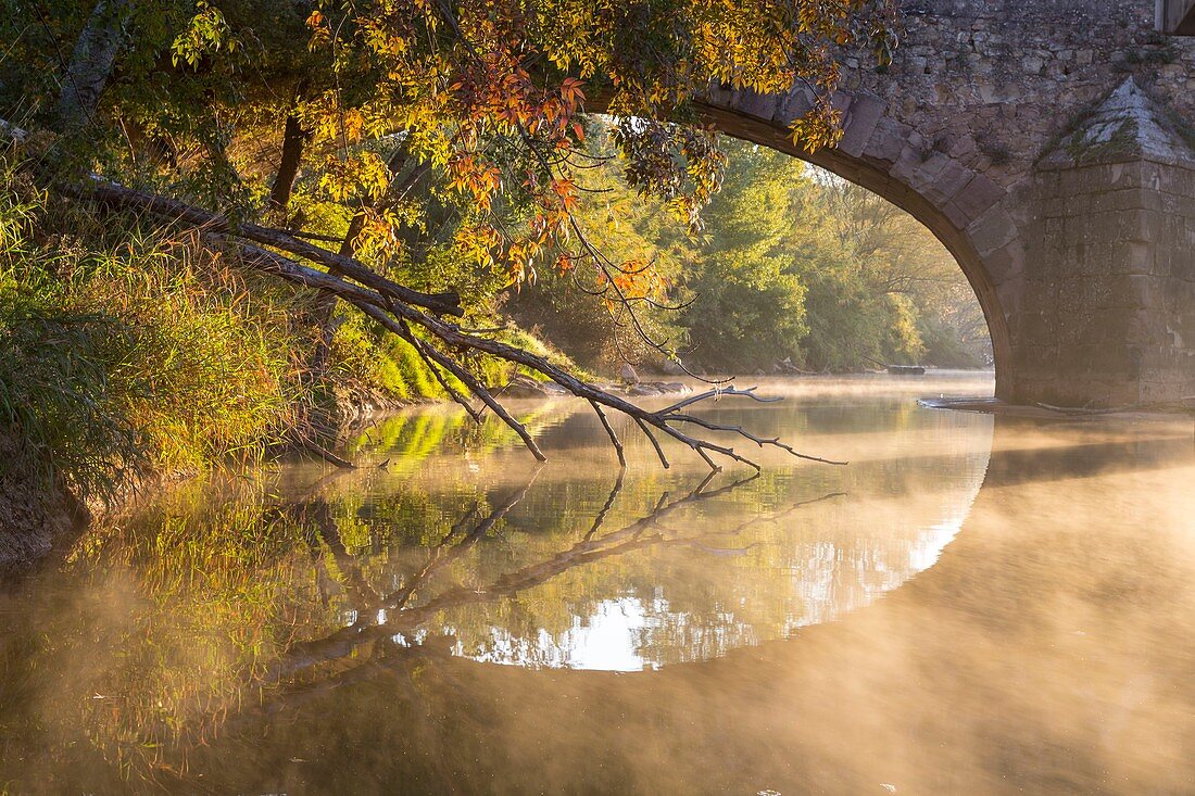 France, Var, Roquebrune sur Argens, morning mood and autumn colors on the Argens River