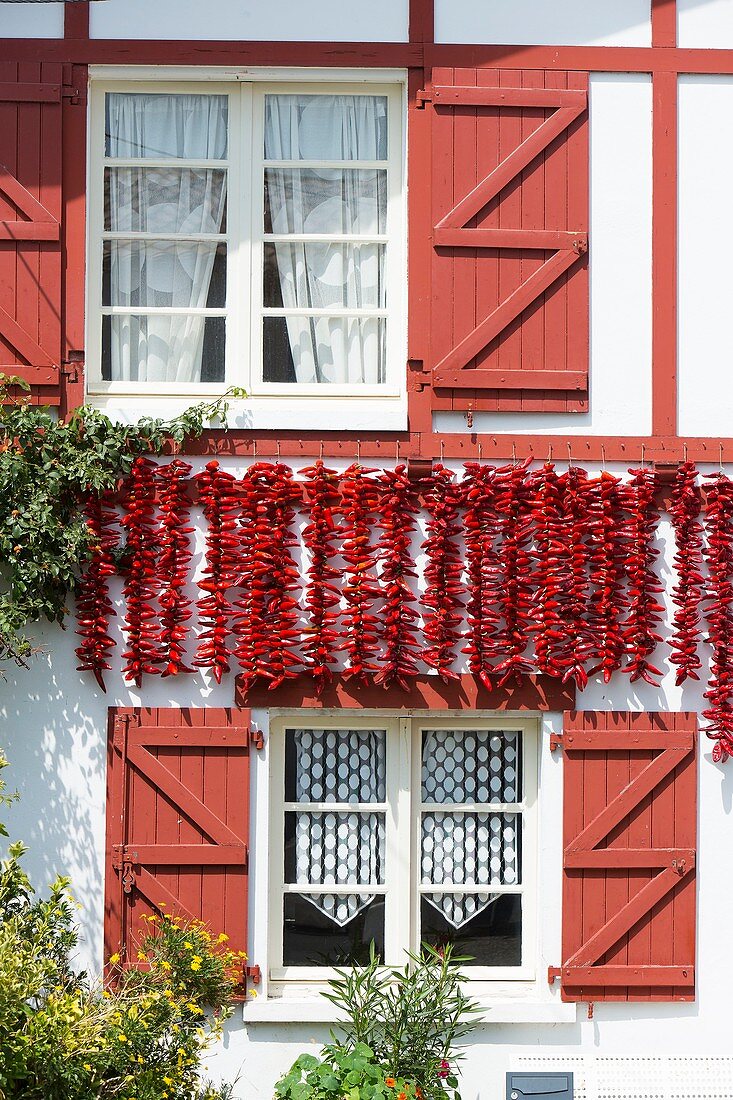 France, Pyrenees Atlantiques, Pays Basque, Espelette, pepper drying on the facade of a traditional house