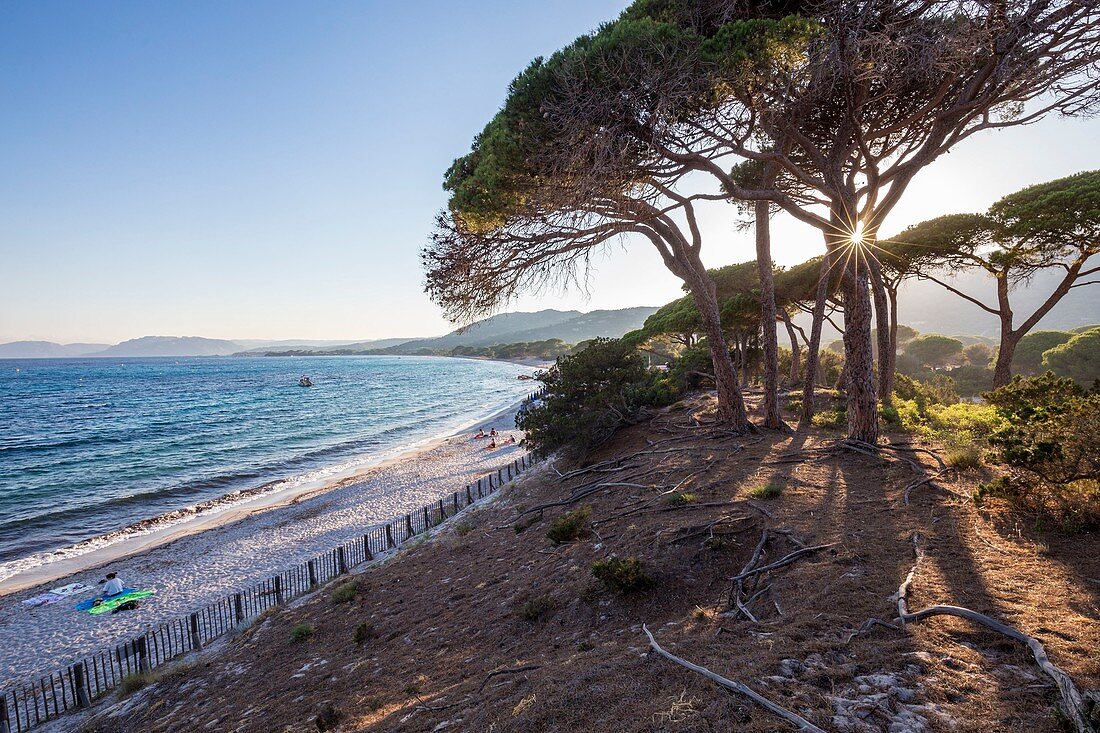 France, South Corsica, Porto-Vecchio, beach of Palombaggia