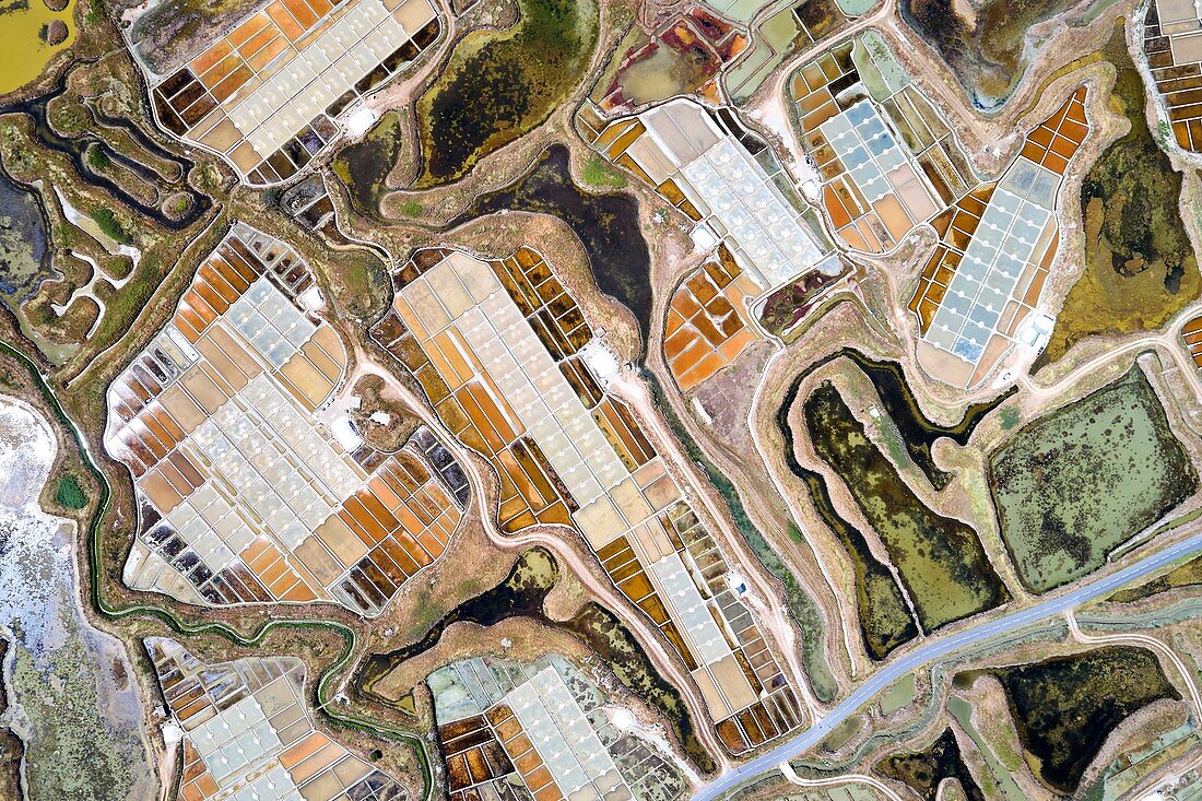 France, Loire Atlantique, Guerande, salt marshes (aerial view)