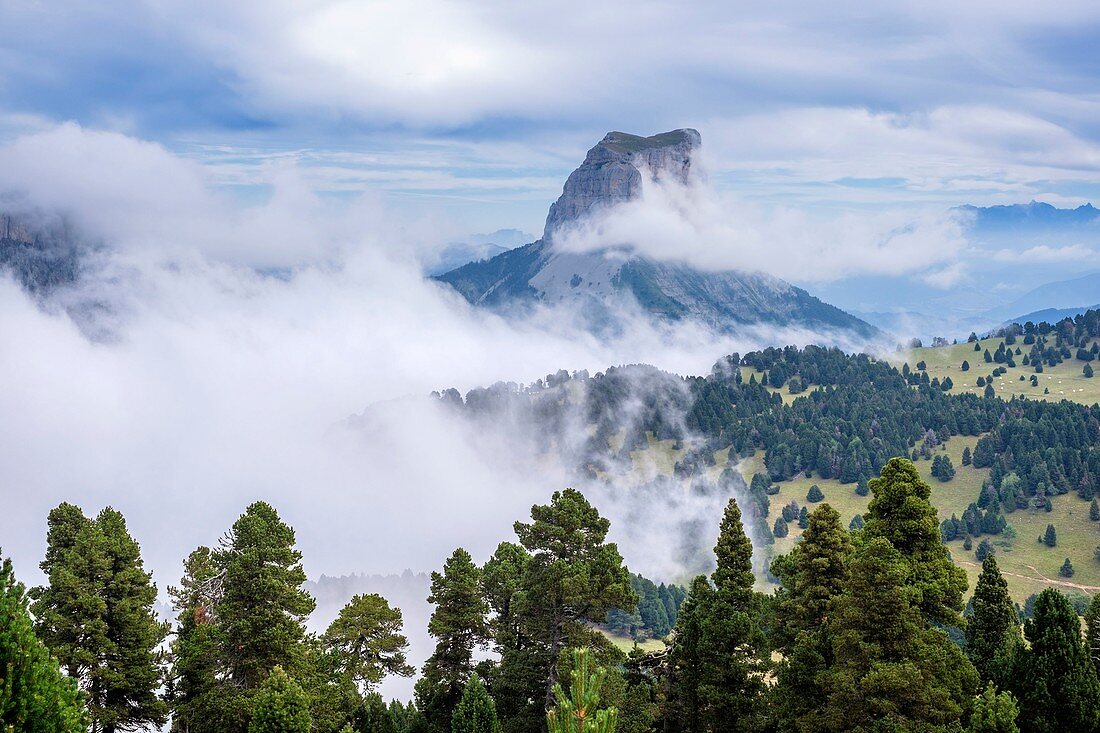 Frankreich, Isere, Vercors Regionaler Naturpark, Nationales Naturschutzgebiet des Vercors-Hochlandes, Mount Aiguille (Höhe: 2087 m)