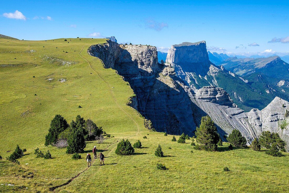 France, Isere, Vercors Regional Natural Park, National Nature Reserve of the Vercors Highlands, hiking along Ravin des Arches, Mount Aiguille (alt : 2087 m) in the background