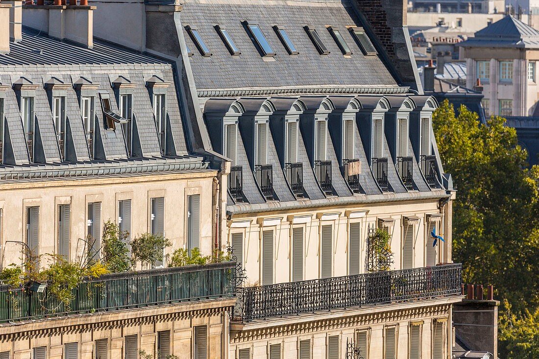 France, Paris, Haussmanian buildings