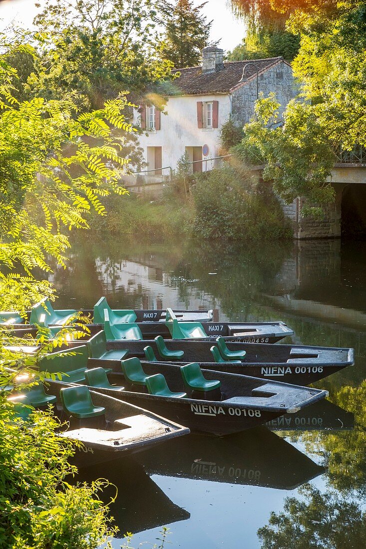 Frankreich, Deux Sevres, Marais Poitevin, Grünes Venedig, Coulon, bezeichnet als Les Plus Beaux Villages de France (Die schönsten Dörfer Frankreichs), typisches Gärtnereihaus am Ufer des Sevre Niortaise