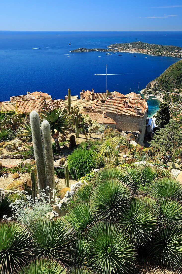 France, Alpes Maritimes, Eze, Jardin Exotique, listed as Outstanding Garden