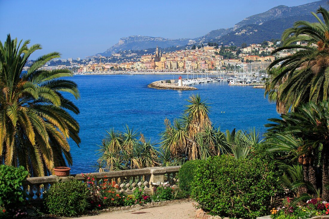 France, Alpes Maritimes, Menton, garden Maria Serena