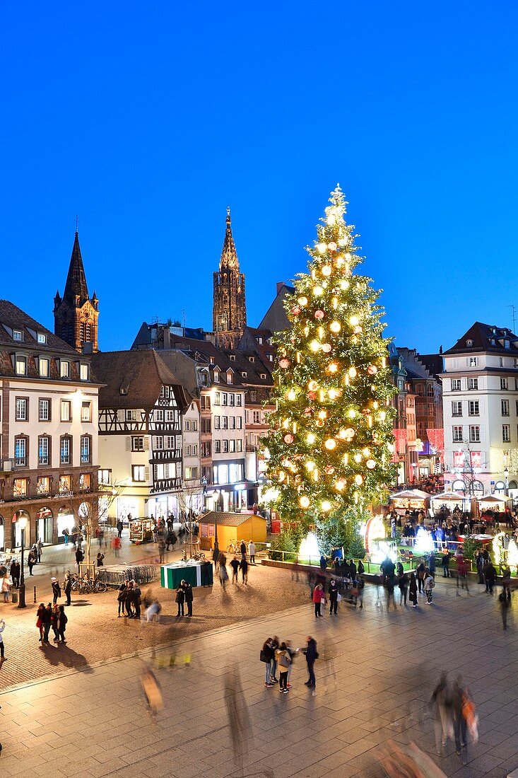 Frankreich, Bas Rhin, Straßburg, Altstadt, die von der UNESCO zum Weltkulturerbe erklärt wurde, der große Weihnachtsbaum am Place Kleber und die Kathedrale Notre Dame im Hintergrund