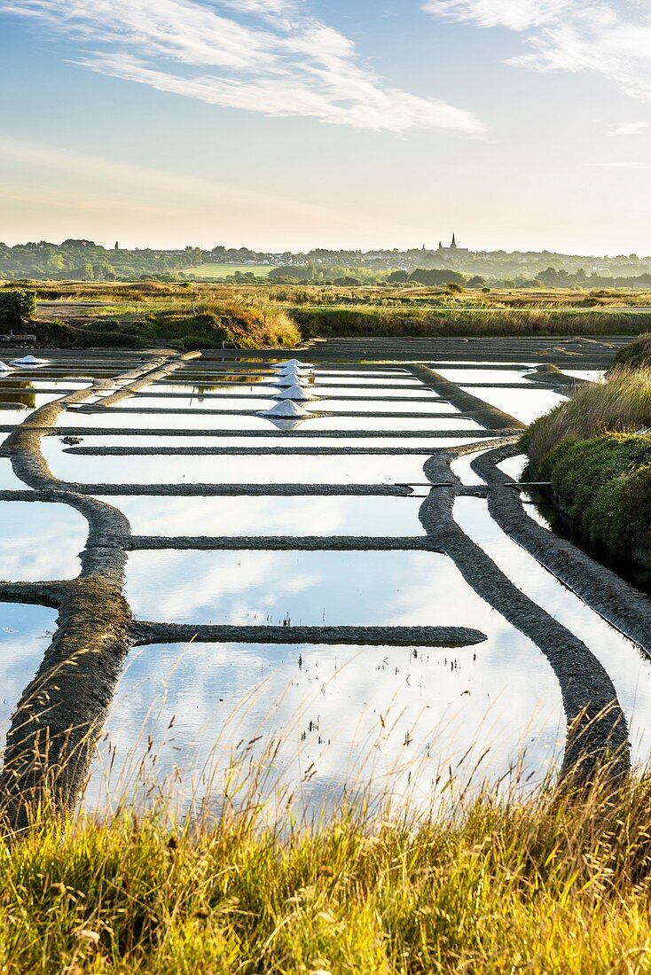 Frankreich, Loire Atlantique, Halbinsel Guerande, Salzwiesen von Guerande