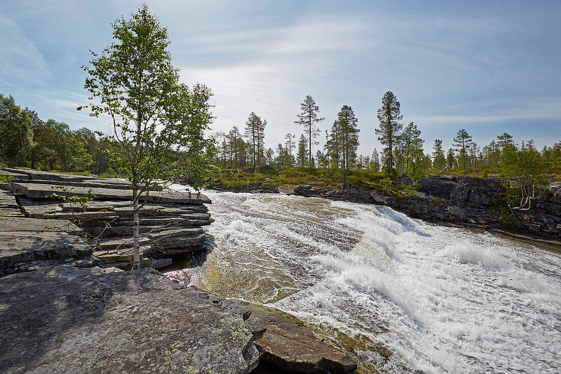 Stromschnellen beim Kjerringvatnet bei Trofors, Nordland, Norwegen, Europa 