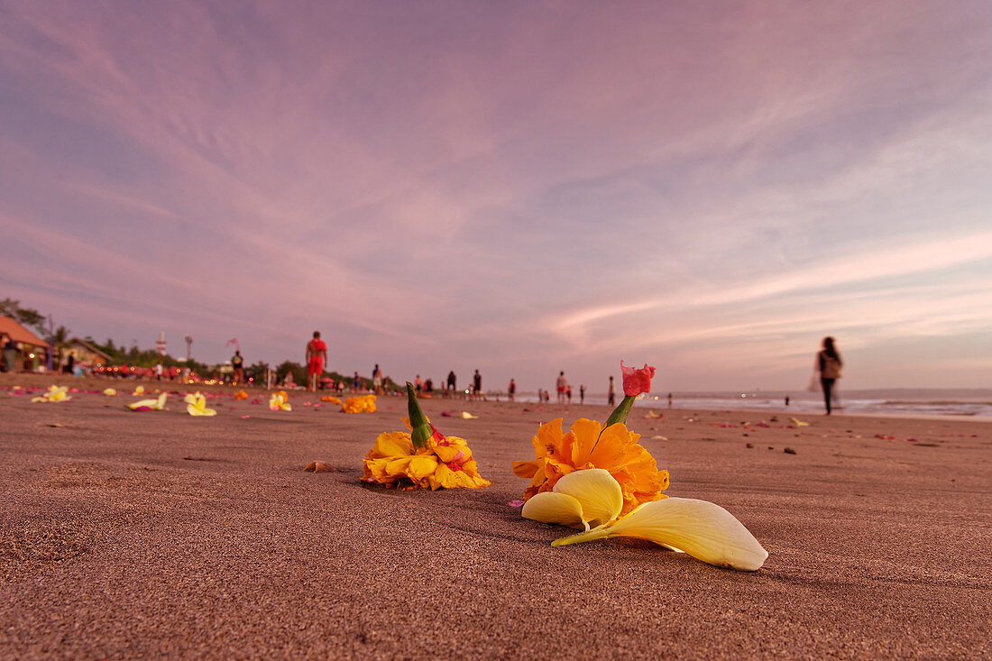 Flower offerings on Seminyak Beach in Bali, Indonesia, Southeast Asia, Asia