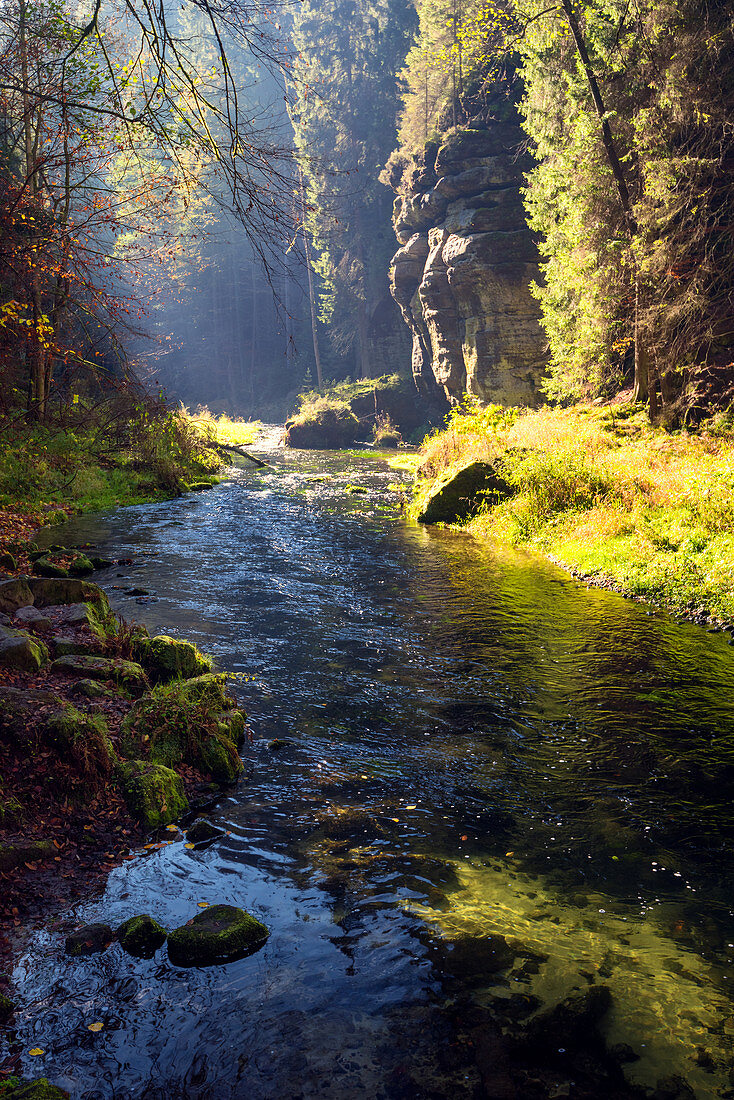 Kamnitz, Fluss, Herbst, Laubfärbung, Nationalpark, Böhmische Schweiz, Tschechien, Europa 