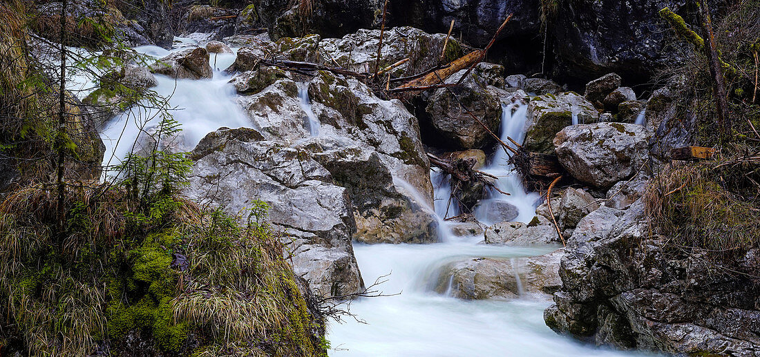 The Klausbach in the magic forest on Hintersee, Hintersee, Berchtesgaden, Bavaria, Germany