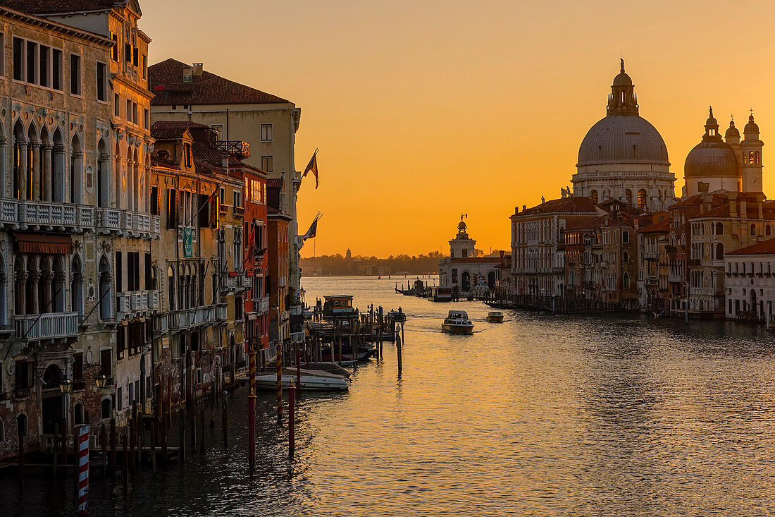 Canal Grande und Santa Maria della Salute im Morgenrot, Venedig, Venetien, Italien
