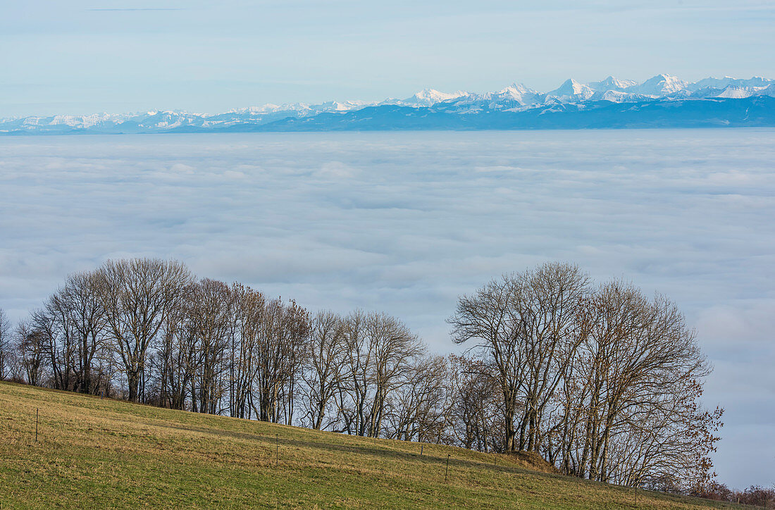 Schweizer Alpen im Winter mit Nebel über dem Neuenburgersee. Schweiz
