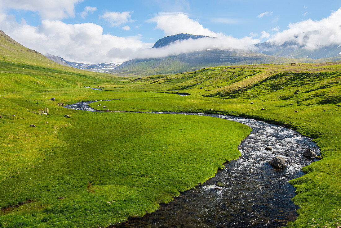 Sudureyri-Tal. Westfjorde. Island.