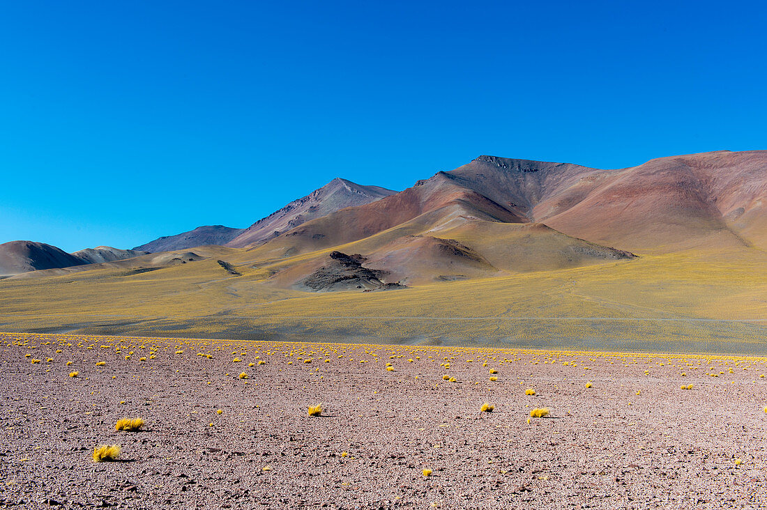 Ansicht der Licancabur-Vulkangruppe von der Autobahn nach San Pedro de Atacama nahe der argentinisch-chilenischen Grenze am Jama-Pass in den Anden, Chile.