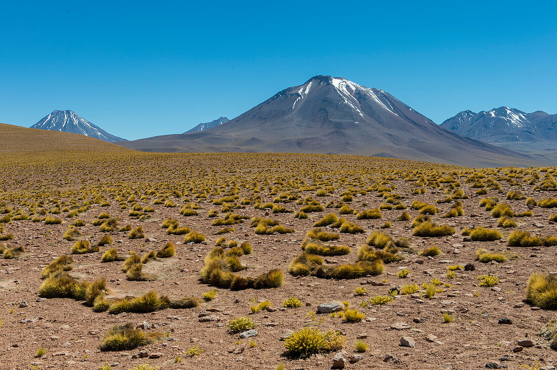 View of Miscanti volcano 5640 m (18,504 ft.) in the Los Flamencos National Reserve near San Pedro de Atacama in the Atacama Desert, northern Chile.