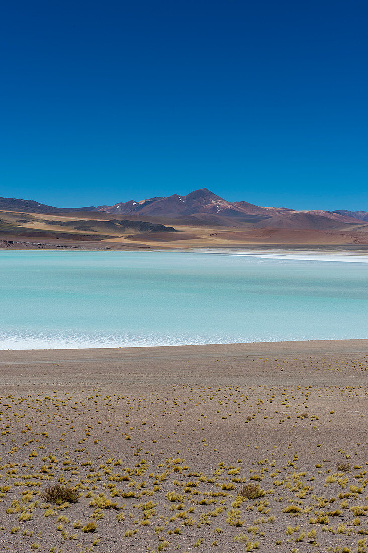 View of Laguna Tuyajto in the Los Flamencos National Reserve near San Pedro de Atacama in the Atacama Desert, northern Chile.