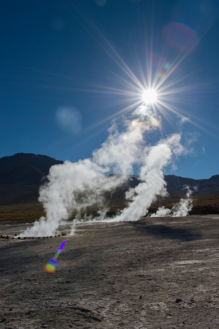 Steam rising from hot springs at El Tatio Geysers geothermic basin near San Pedro de Atacama in the Atacama Desert, northern Chile.