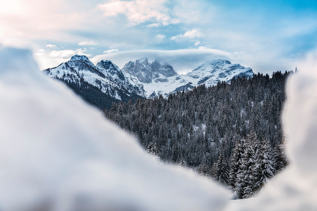 Cimon de la Stia, Focobon and Mulaz framed in the pristine snow, winter landscape, Falcade, Belluno, Veneto, Italy