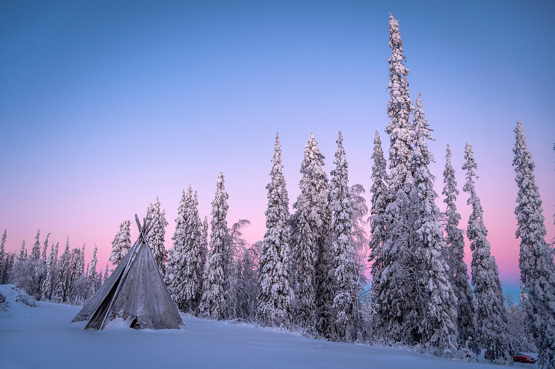 Lavvu (Lappland Zelt) und gefrorene Bäume unter arktischem Licht, Lampivaara Hill, Luosto, Lappland, Finnland