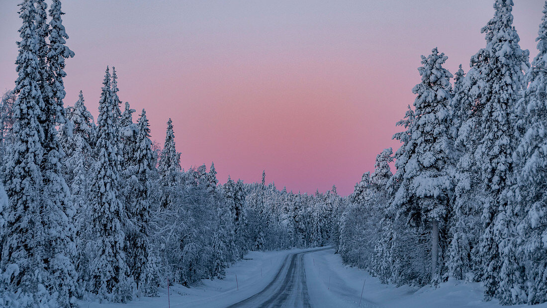 Gefrorene Straße und Bäume mit arktischem Licht nahe Luosto, Lappland, Finnland
