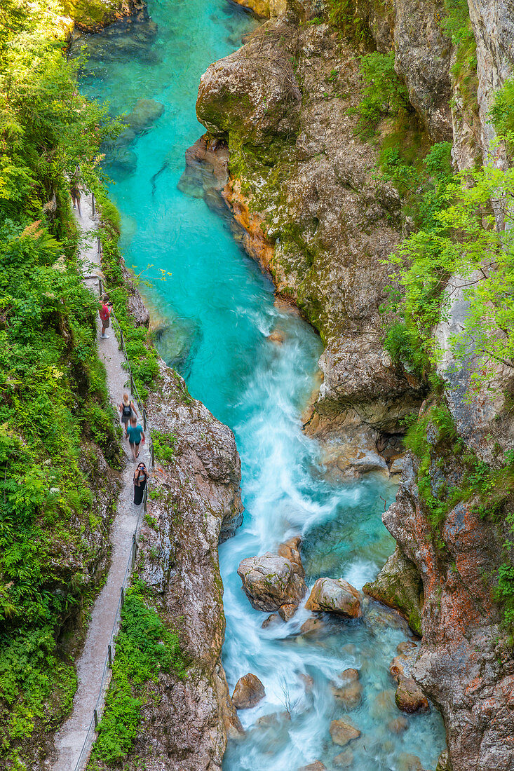 Tolmin gorges, Goriska Region, Soča valley, Triglav National Park, Slovenia, Europe