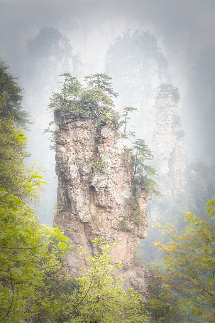 die steilen Klippen von Yellow Stone Village, Zhangjiajie National Forest Park, Hunan, China