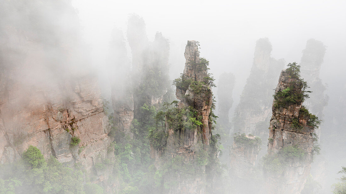 Zhangjiajie national forest park, Zhangjiajie, Hunan, China 