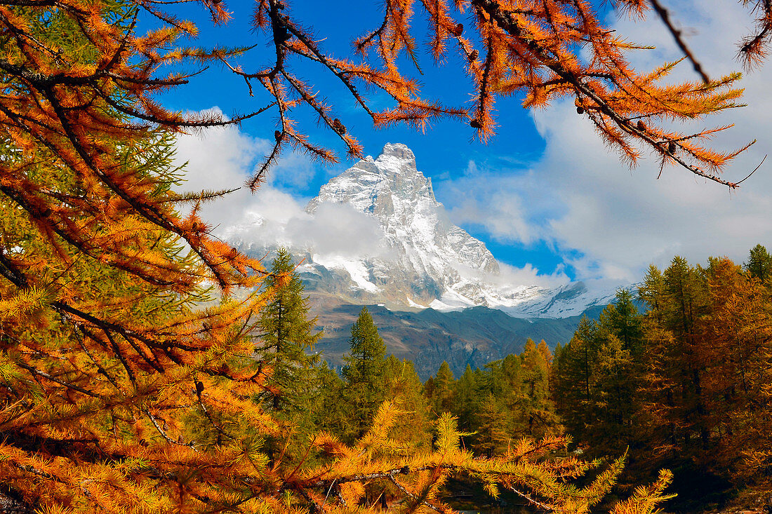 Cervino, Matterhorn with autumn colors, valtournenche, Aosta Valley, italy