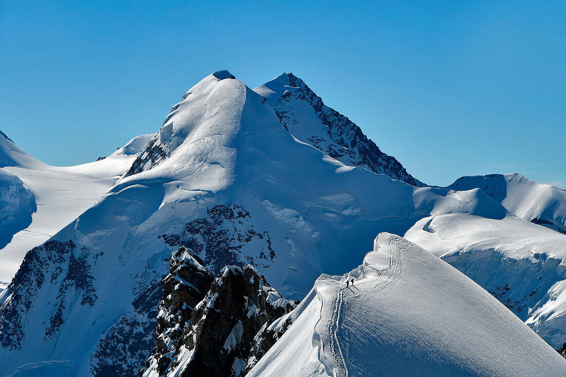 Bergsteiger, die Breithorn Centrale vom Breithorn Occidentale, Lyskamm auf Hintergrund, Aostatal, Italien, Europa klettern