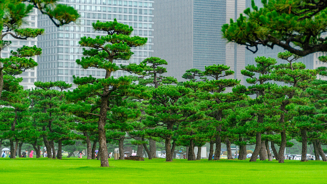 Park in der Nähe von Tokyo Royal Palace, Tokio, Japan