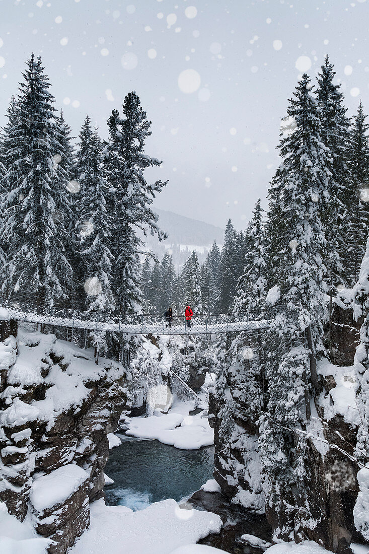 zwei junge Wanderer auf der Hängebrücke über die Schlucht des Flusses Travignolo in einer Winterlandschaft, Paneveggio, Dolomiten, Predazzo, Trentino, Italien