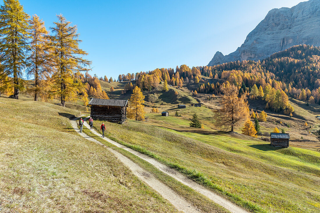 Alta Badia, Provinz Bozen, Südtirol, Italien, Europa. Herbst auf den Armentara-Wiesen über den Bergen der Neuner und Zehner